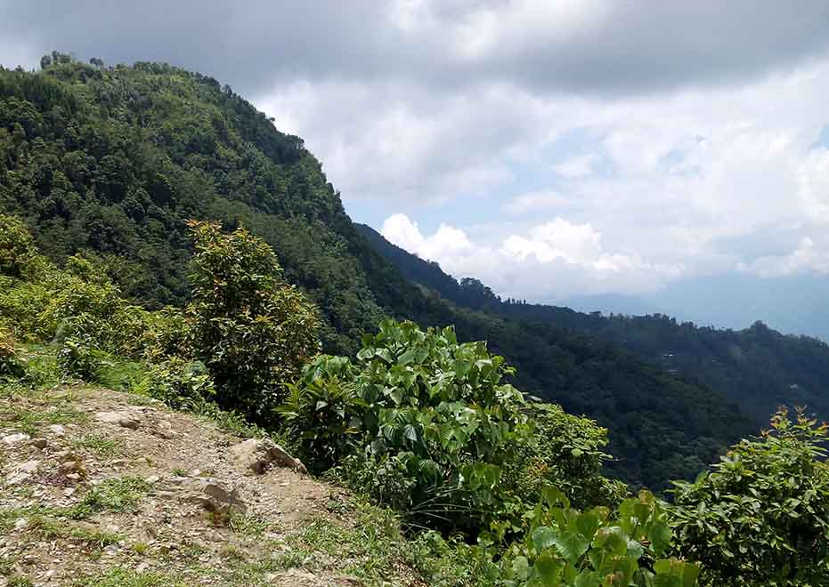 Scenic view of Pedong village in the hills