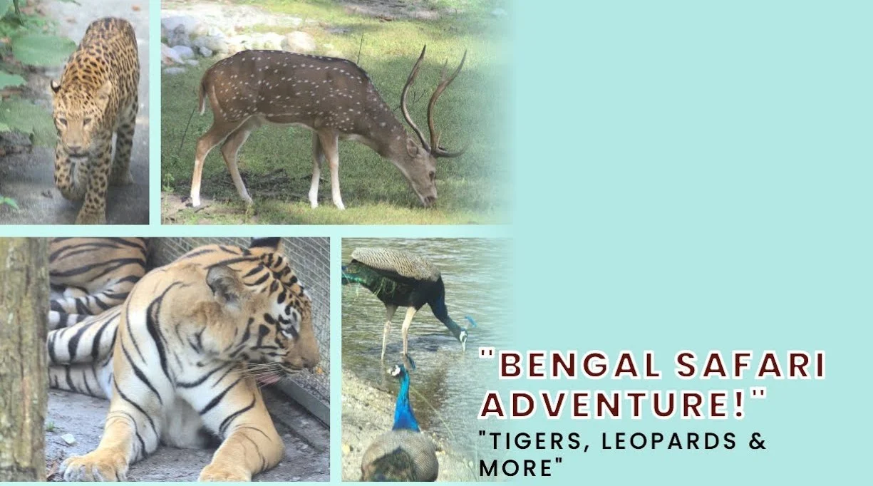 bengal safari tour to see wild animal