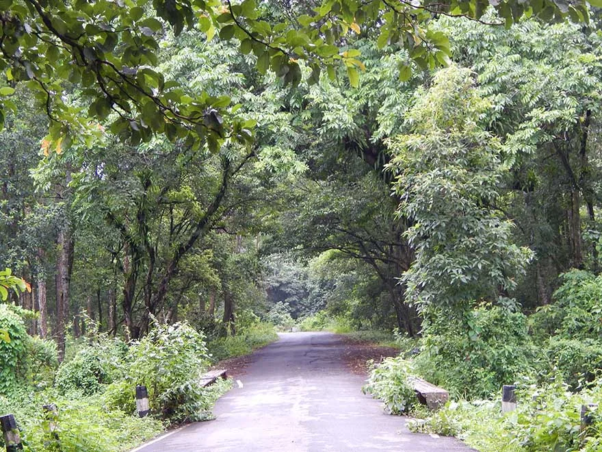 Gorumara National Park