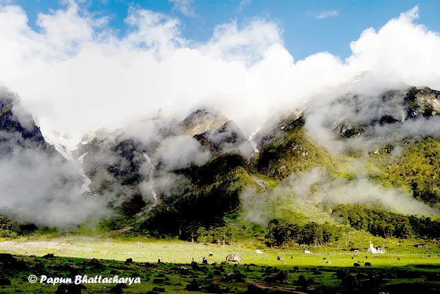 A view from Yumthang Valley